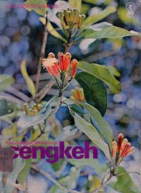 Image of Bagaimana menanam cengkeh