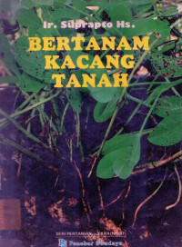 Image of Bertanam kacang tanah